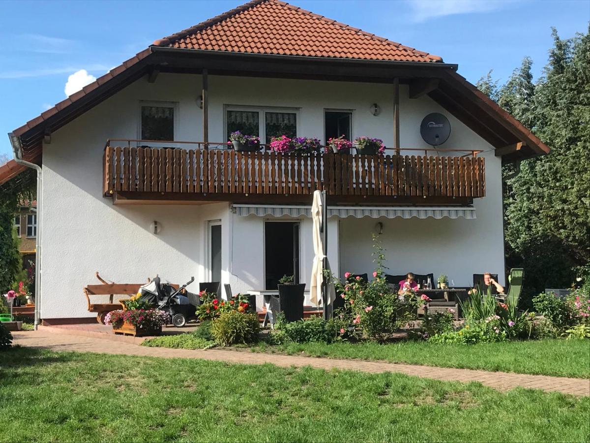 Grosszuegige Ferienwohnung Am Waldesrand Im Seenland Lauta ภายนอก รูปภาพ