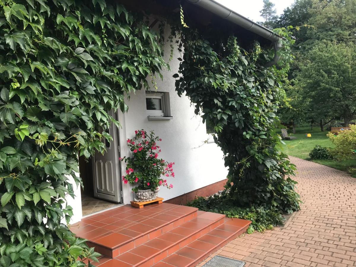 Grosszuegige Ferienwohnung Am Waldesrand Im Seenland Lauta ภายนอก รูปภาพ
