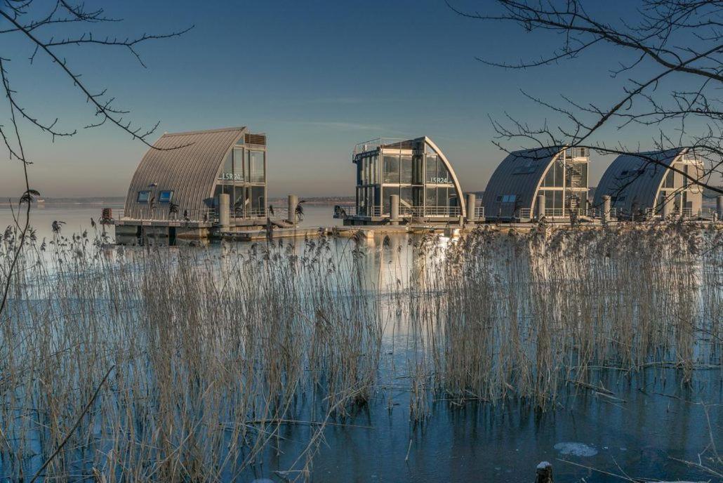 Grosszuegige Ferienwohnung Am Waldesrand Im Seenland Lauta ภายนอก รูปภาพ