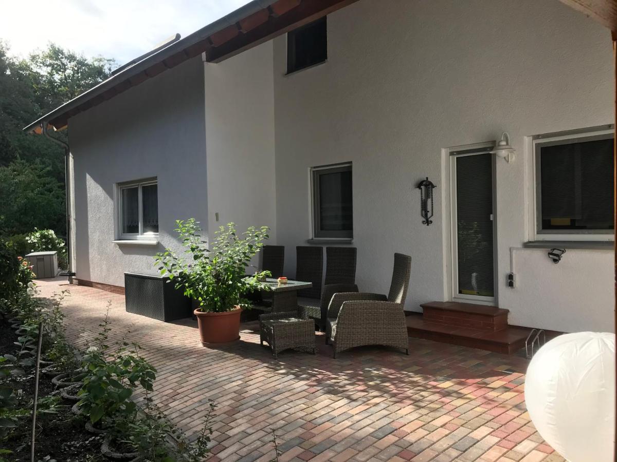 Grosszuegige Ferienwohnung Am Waldesrand Im Seenland Lauta ภายนอก รูปภาพ