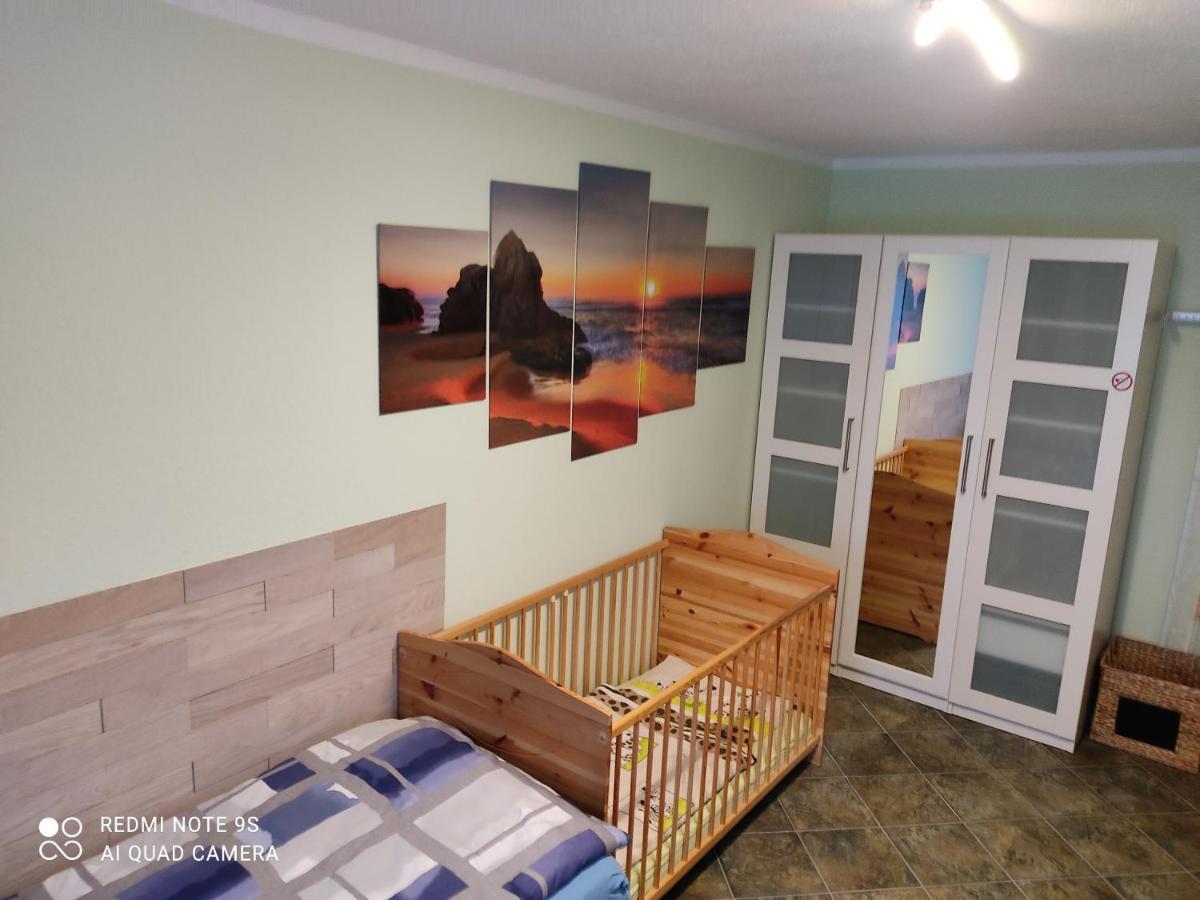 Grosszuegige Ferienwohnung Am Waldesrand Im Seenland Lauta ภายนอก รูปภาพ