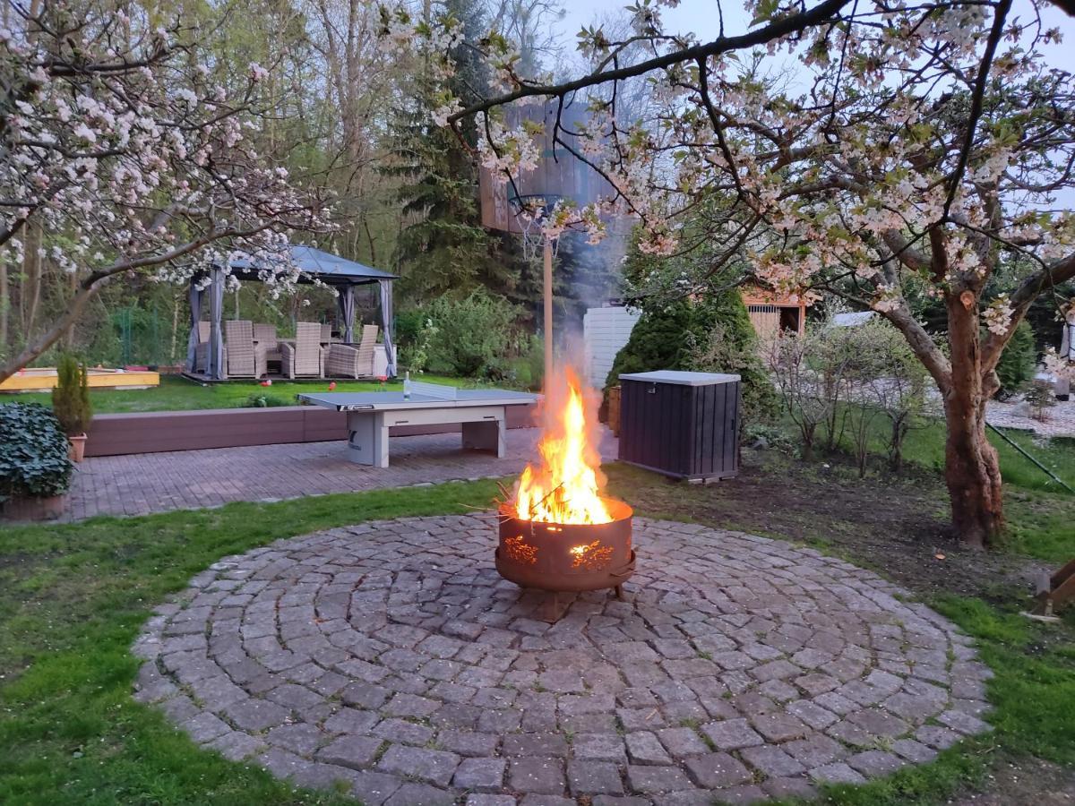 Grosszuegige Ferienwohnung Am Waldesrand Im Seenland Lauta ภายนอก รูปภาพ