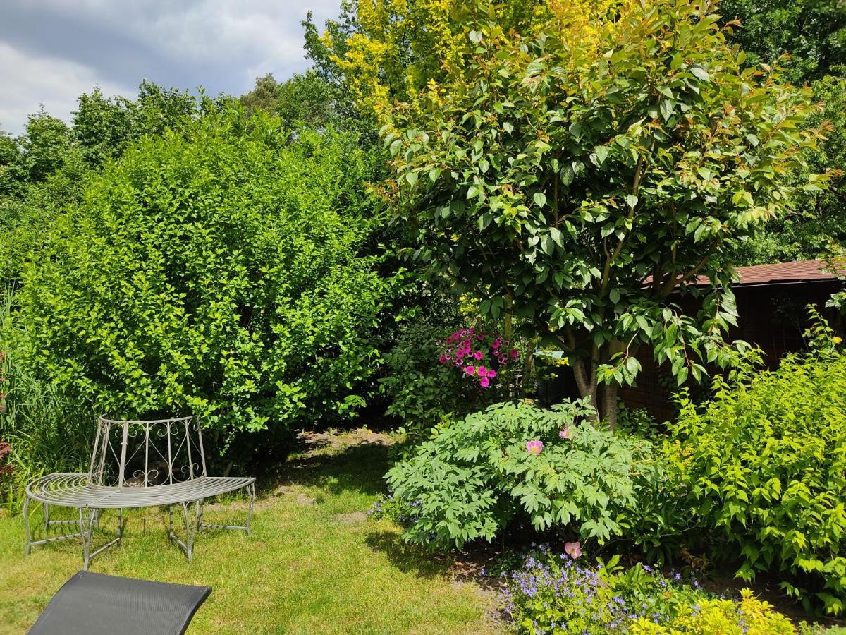 Grosszuegige Ferienwohnung Am Waldesrand Im Seenland Lauta ภายนอก รูปภาพ