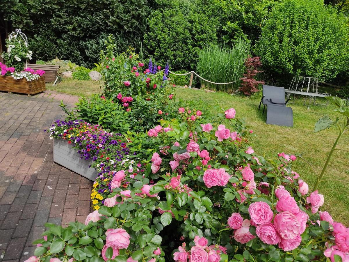 Grosszuegige Ferienwohnung Am Waldesrand Im Seenland Lauta ภายนอก รูปภาพ