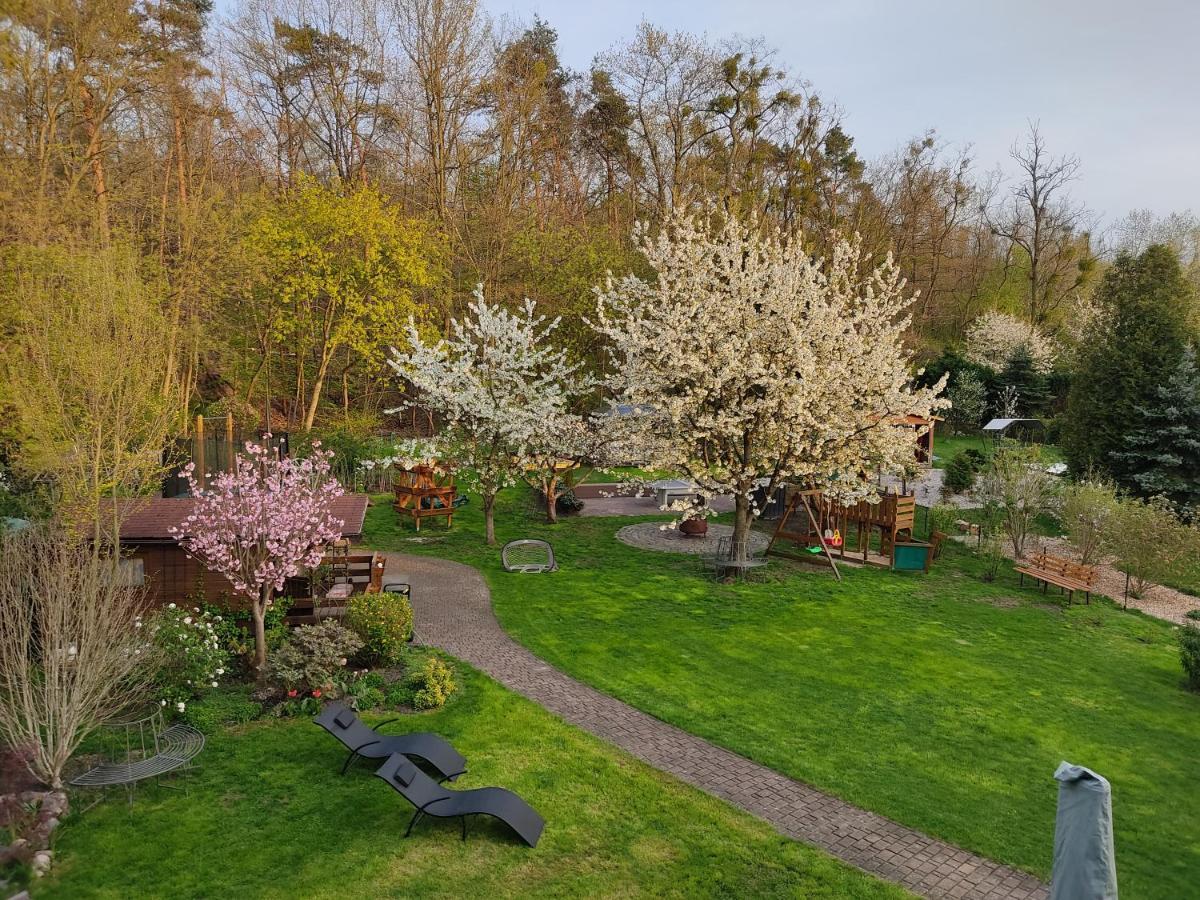 Grosszuegige Ferienwohnung Am Waldesrand Im Seenland Lauta ภายนอก รูปภาพ